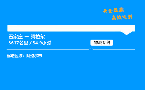 石家莊到阿拉爾物流專線-專業(yè)承攬石家莊至阿拉爾貨運(yùn)-保證時效